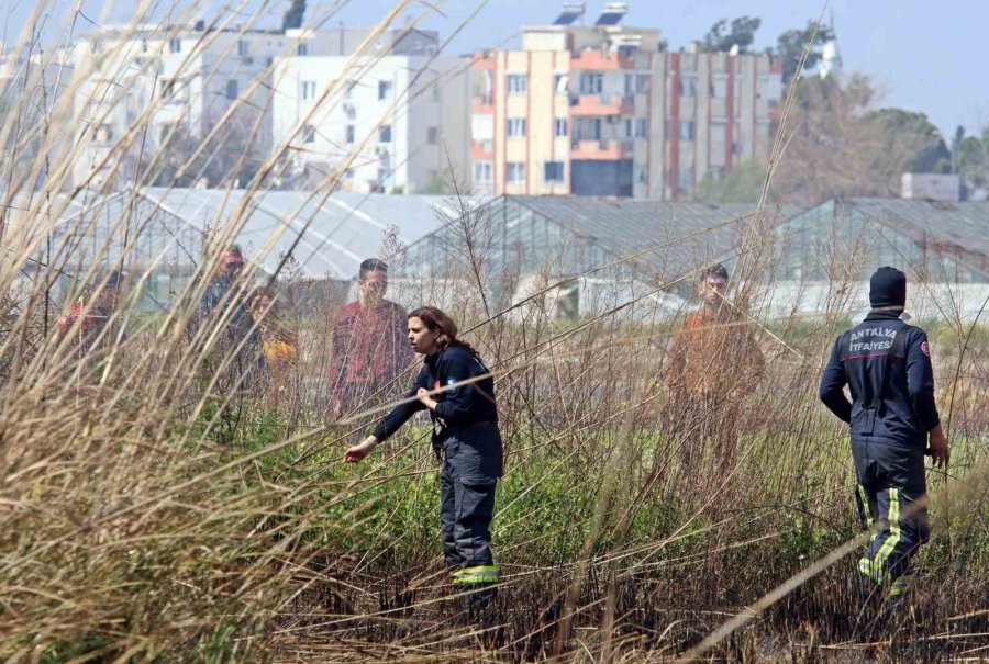 Hem Oruca Hem Yangını Söndürmeye ’niyetliler’