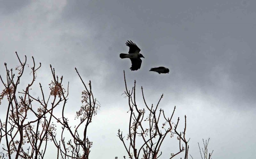 Şiddetli Rüzgarla Oluşan Dalgalar Falezleri Dövdü, Sahili Beyaza Bürüdü