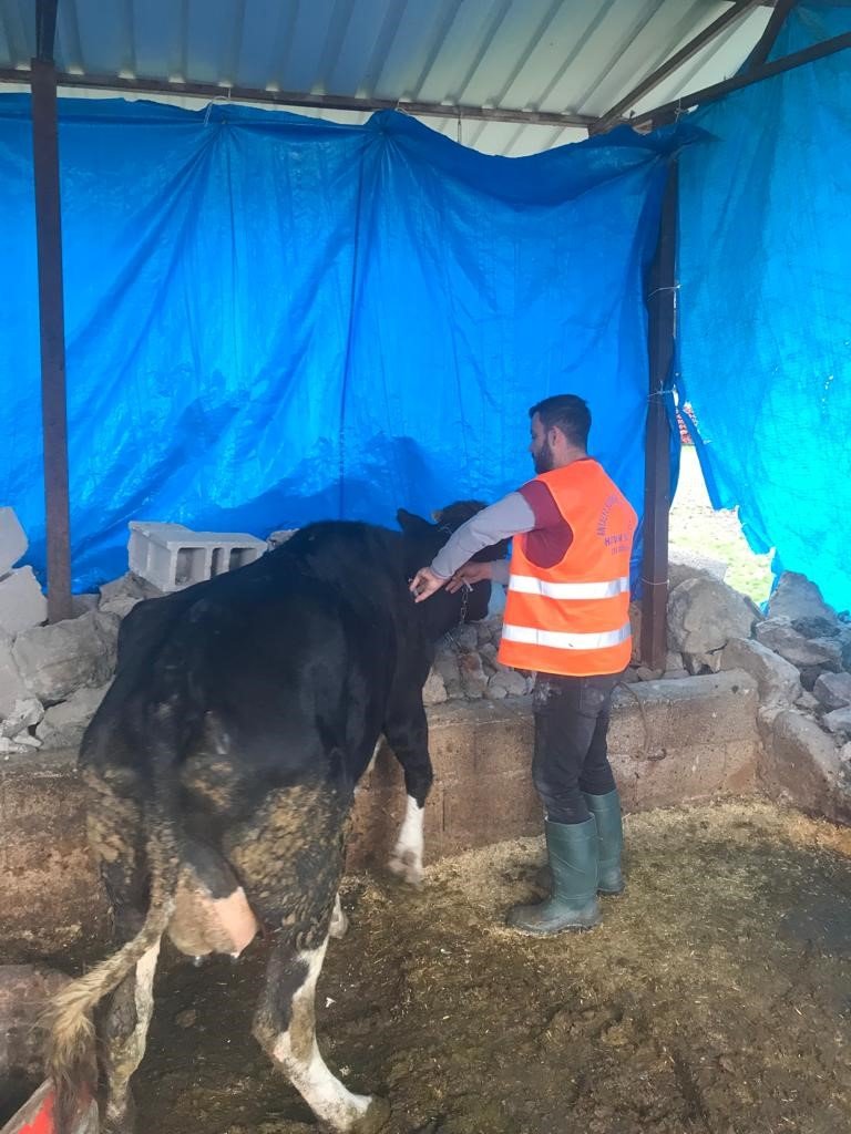 Antalya Büyükşehir Belediyesi’nden Gaziantep’te Veterinerlik Hizmeti