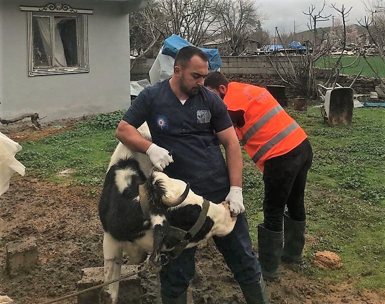 Antalya Büyükşehir Belediyesi’nden Gaziantep’te Veterinerlik Hizmeti