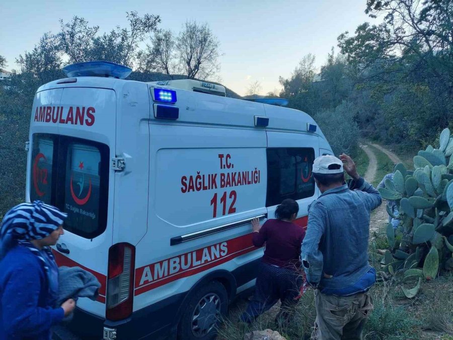 Badem Ağacından Düşen Adam Ağır Yaralandı