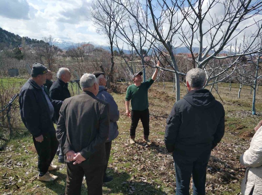 Beyşehir’de Üreticilere Uygulamalı Ağaç Bakımı Eğitimi