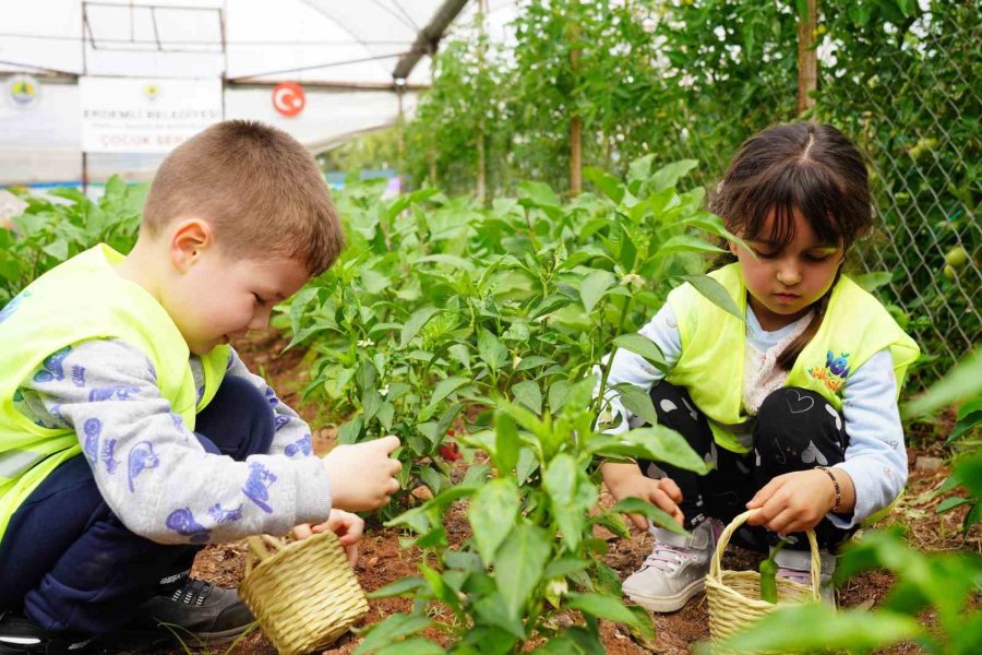 Miniklerin Çocuk Serasından İlk Hasadı Depremzedelere