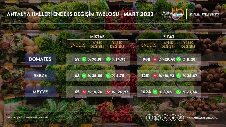 Antalya’da Halinde Domatesin Miktarı Arttı, Fiyatı Düştü