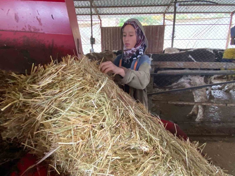 15 Yaşındaki Ayşe’nin Bilek Güreşi Şampiyonası İçin Sıra Dışı Antrenman Yöntemleri