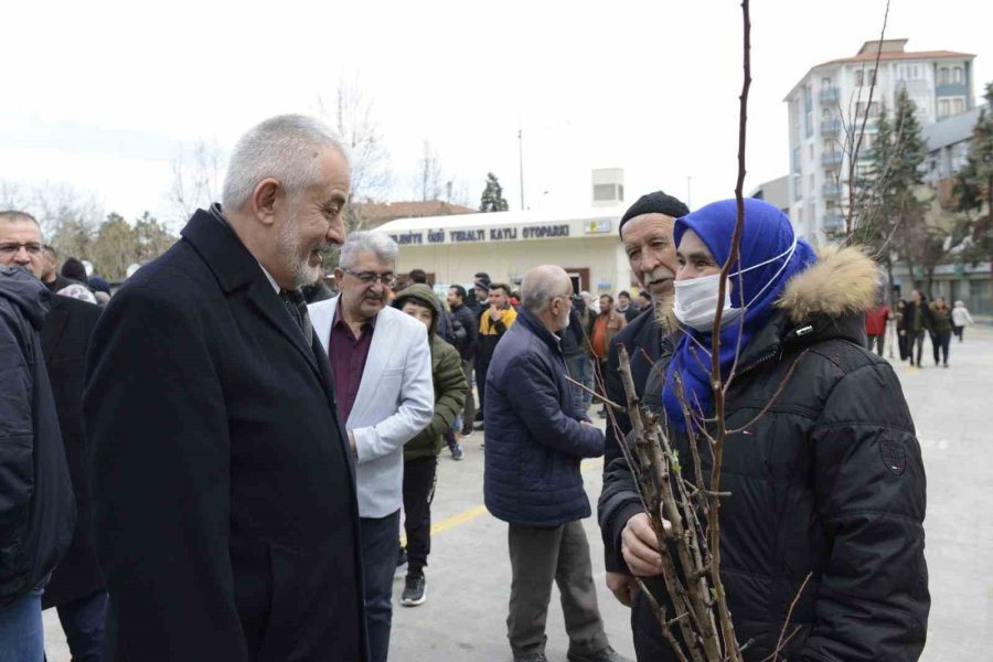 Isparta Belediyesi 1 Haftada 62 Bin Meyve Fidanı Dağıttı