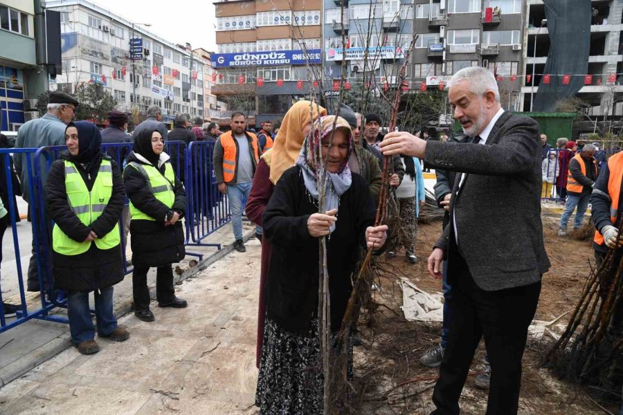 Isparta Belediyesi 1 Haftada 62 Bin Meyve Fidanı Dağıttı