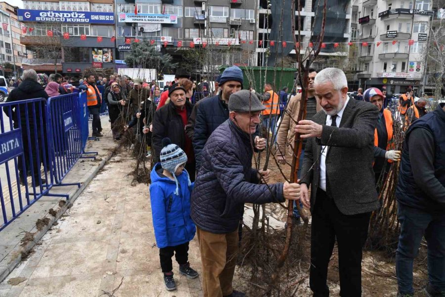 Isparta Belediyesi 1 Haftada 62 Bin Meyve Fidanı Dağıttı