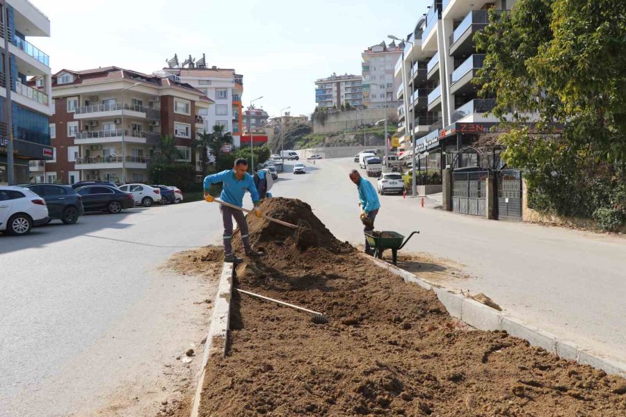 Oba Mahallesi’nde Peyzaj Çalışmaları Tüm Hızıyla Sürüyor