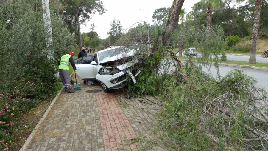 Manavgat’ta Kontrolden Çıkan Otomobil Ağaca Çarptı: 1 Yaralı