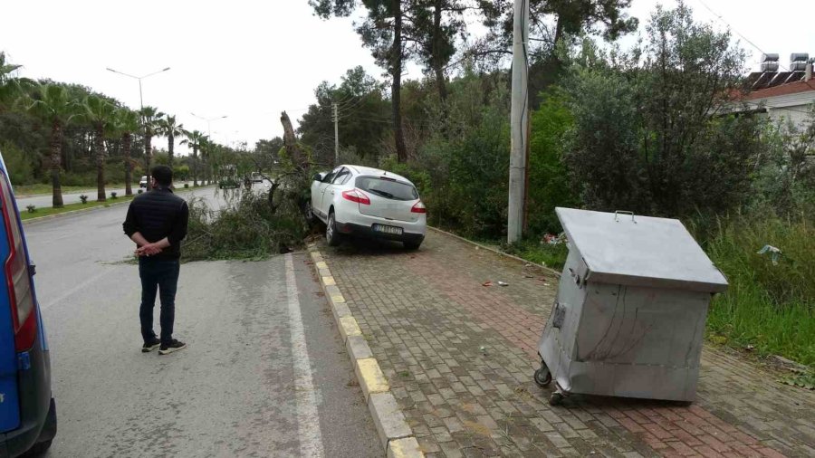 Manavgat’ta Kontrolden Çıkan Otomobil Ağaca Çarptı: 1 Yaralı