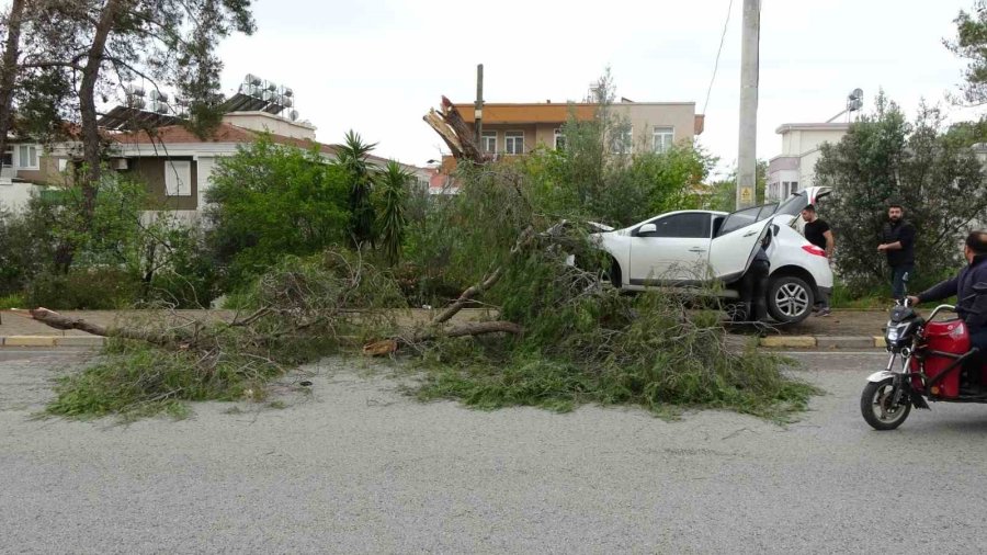 Manavgat’ta Kontrolden Çıkan Otomobil Ağaca Çarptı: 1 Yaralı