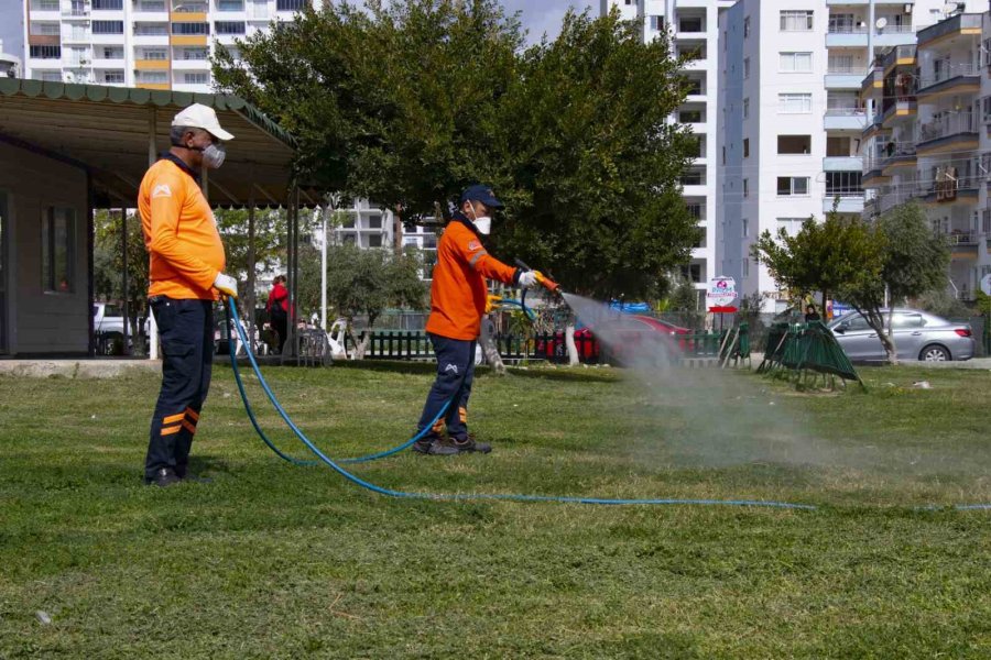 Mersin’de Haşere İle Mücadale Çalışmaları Hız Kazandı