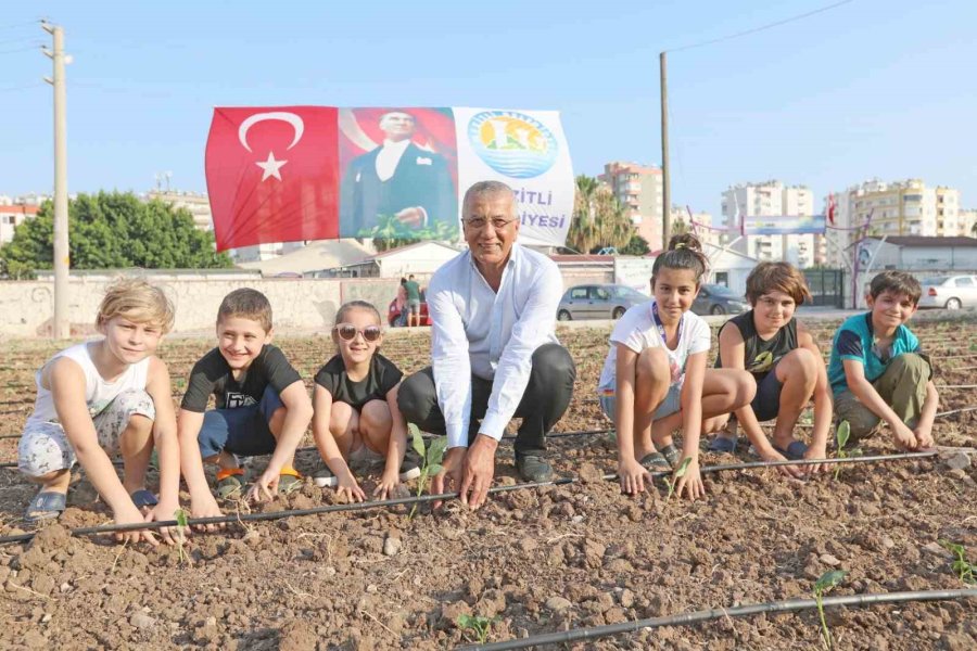 Mezitli’de Yeşil Alan Miktarları Artıyor