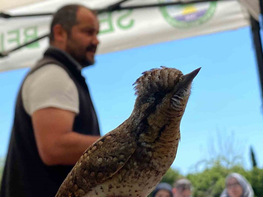 Estonya’dan Göç Ediyordu, Türkiye’de İlk Kez Yakalandı