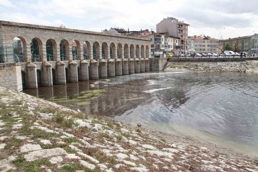 Beyşehir Gölü Kıyısında Su Yüzeyine Çıkan Yavru Balıklar Görenlerin İlgisini Çekiyor