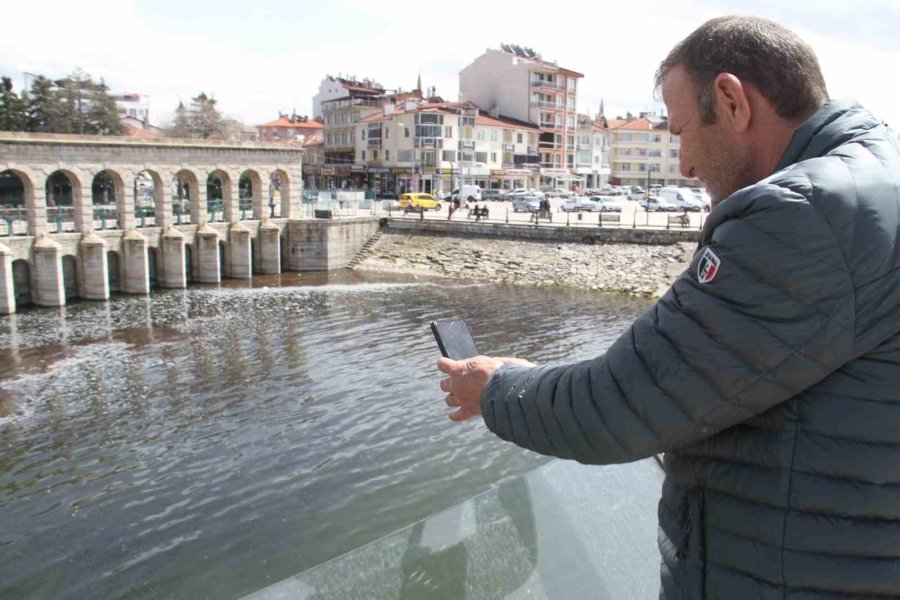 Beyşehir Gölü Kıyısında Su Yüzeyine Çıkan Yavru Balıklar Görenlerin İlgisini Çekiyor