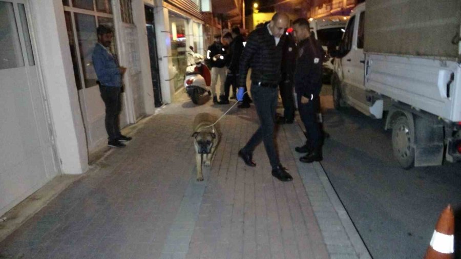 Eski Eşin İhbarı Polisi Alarma Geçirdi, Evden Bir Cenaze Ve 3 Köpek Çıktı