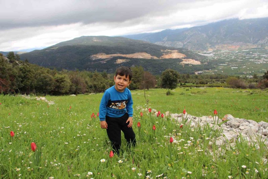 Antalya’da Osmanlı Laleleri Görsel Şölen Oluşturdu