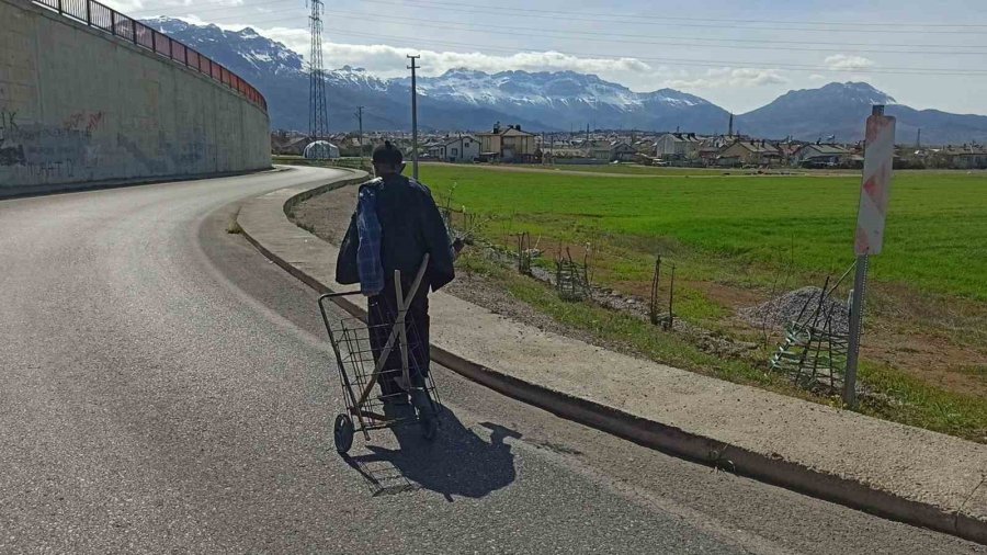 ’ağaç Sever Dede’ Diktiği Bine Yakın Ağacın Bakımını Aksatmıyor