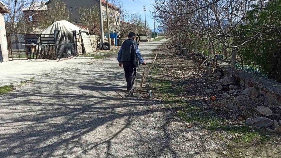 ’ağaç Sever Dede’ Diktiği Bine Yakın Ağacın Bakımını Aksatmıyor