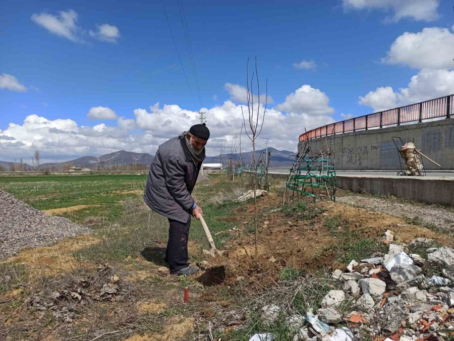 ’ağaç Sever Dede’ Diktiği Bine Yakın Ağacın Bakımını Aksatmıyor