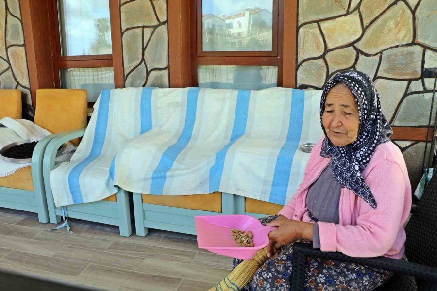 Türkiye’nin En Büyük Yangınından Etkilenen Köy Toki İle Küllerinden Yeniden Doğdu