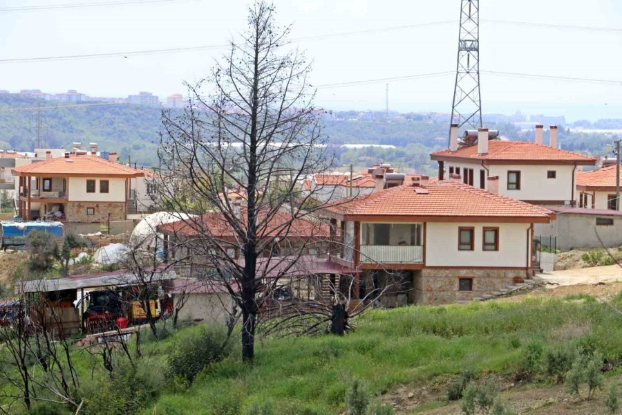 Türkiye’nin En Büyük Yangınından Etkilenen Köy Toki İle Küllerinden Yeniden Doğdu