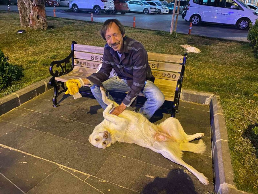 Hurda Toplayarak Geçimin Sağlayan Adamın Sokak Köpeği Şefkati