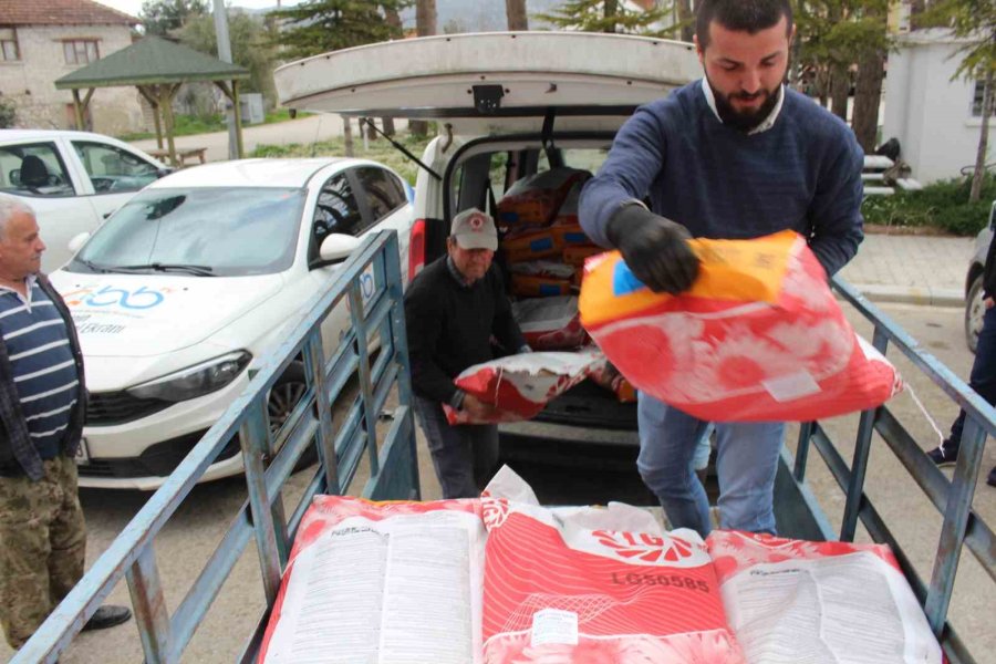 Korkutelili Çiftçilere Ayçiçeği Tohumu Dağıtıldı