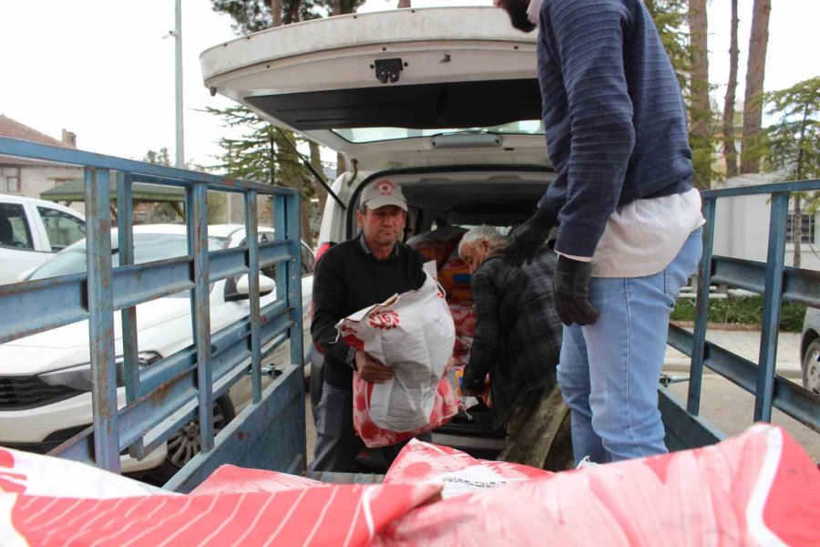 Korkutelili Çiftçilere Ayçiçeği Tohumu Dağıtıldı