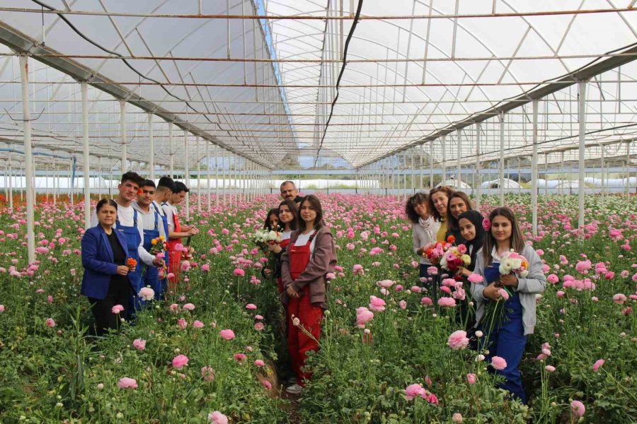 Aksu’da Anaokulu Öğrencileri Çiçek Hasadında