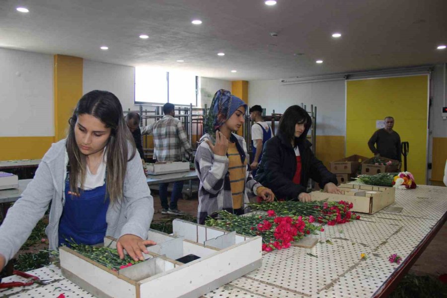 Aksu’da Anaokulu Öğrencileri Çiçek Hasadında