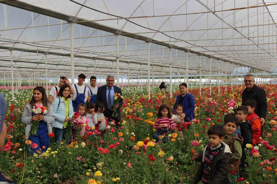 Aksu’da Anaokulu Öğrencileri Çiçek Hasadında