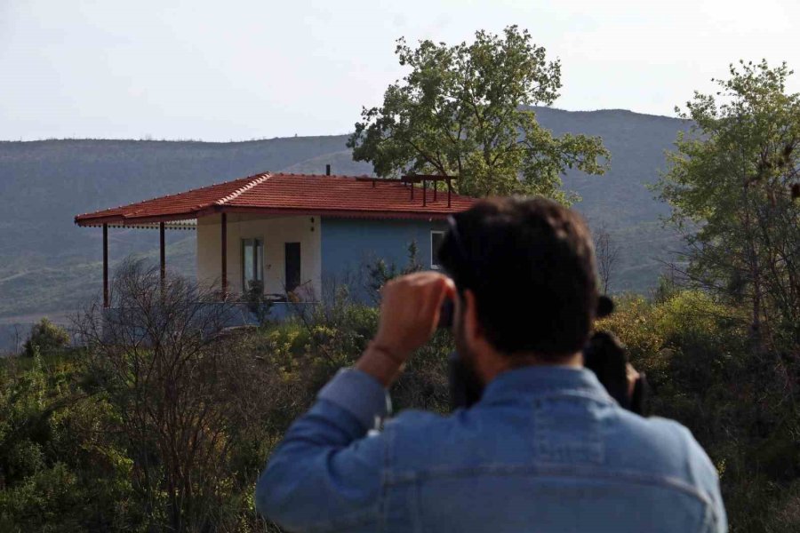 Cumhuriyet Tarihinin En Büyük Yangından Sonra Griden Yeşile Dönüş