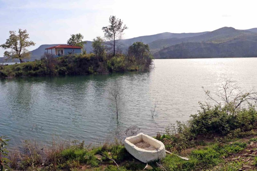 Cumhuriyet Tarihinin En Büyük Yangından Sonra Griden Yeşile Dönüş