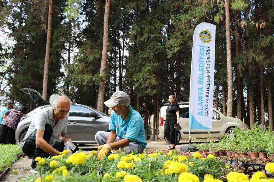 Alanya Belediyesi Ramazan Bayramı’nda 62 Bin 500 Çiçek Dağıtacak