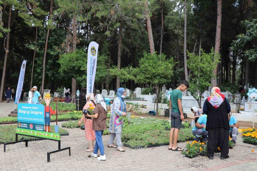 Alanya Belediyesi Ramazan Bayramı’nda 62 Bin 500 Çiçek Dağıtacak