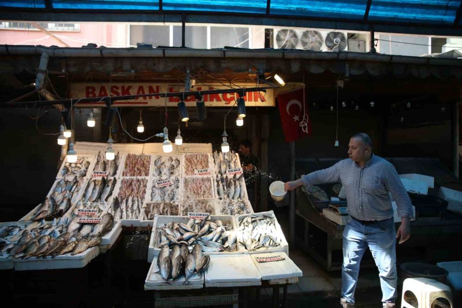 Bu Senenin Balık Şampiyonu ’palamut’ Oldu