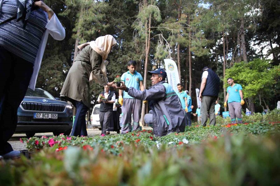 Alanya Belediyesi Geleneksel Çiçek Dağıtımını Gerçekleştirdi