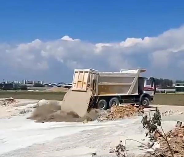 Antalya’da Yavru Köpeklere Beton Atık Suyu Katliamı