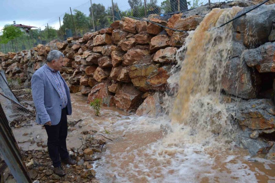 Gazipaşa’da Dere Taştı, Domates Serası Sular Altında Kaldı