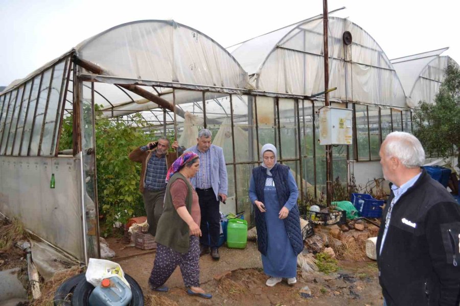 Gazipaşa’da Dere Taştı, Domates Serası Sular Altında Kaldı