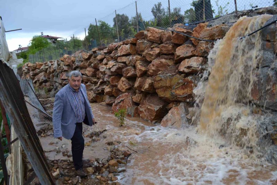 Gazipaşa’da Dere Taştı, Domates Serası Sular Altında Kaldı