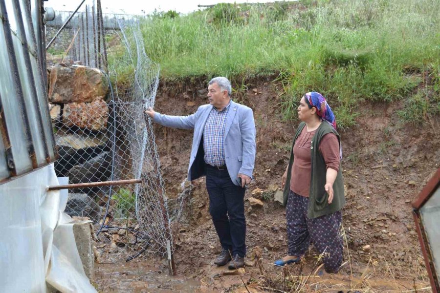 Gazipaşa’da Dere Taştı, Domates Serası Sular Altında Kaldı