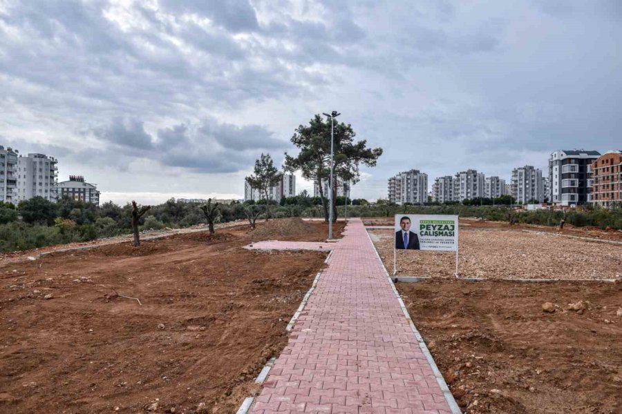 Kepez Çankaya’ya Zeytin Temalı Park