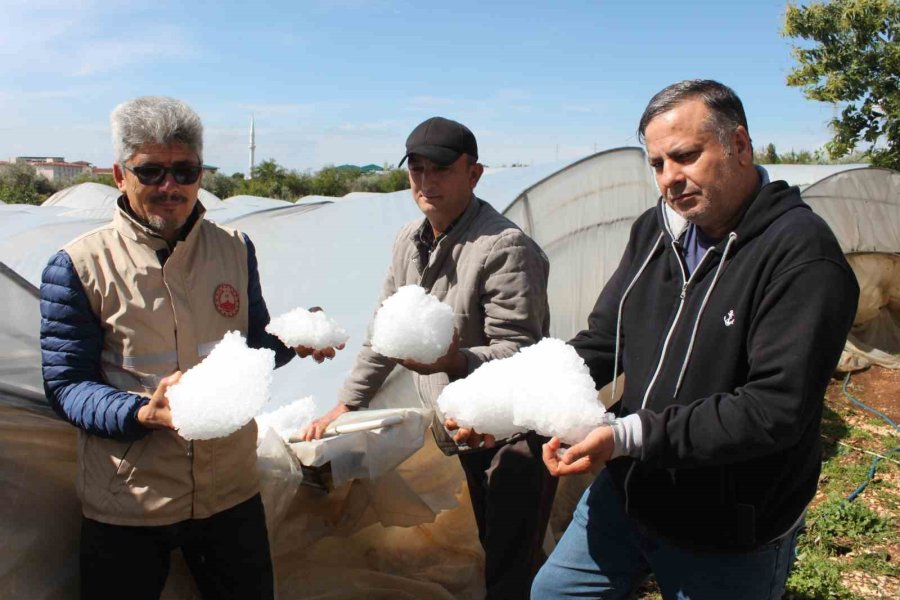 Şiddetli Dolu Serayı Çökertti, Açıktaki Ürünlere Ağır Hasar Verdi