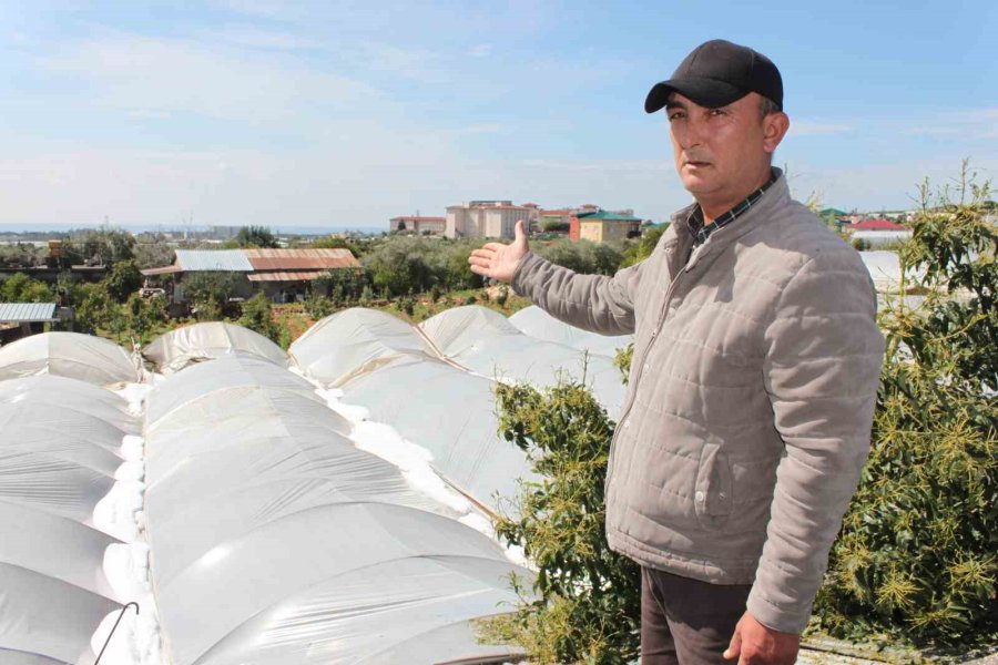 Şiddetli Dolu Serayı Çökertti, Açıktaki Ürünlere Ağır Hasar Verdi