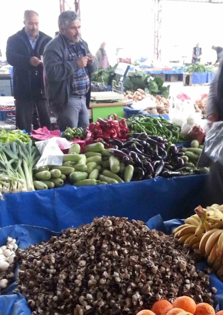 Mersin’de Çukur Çanak Mantarı Geçim Kaynağı Oldu