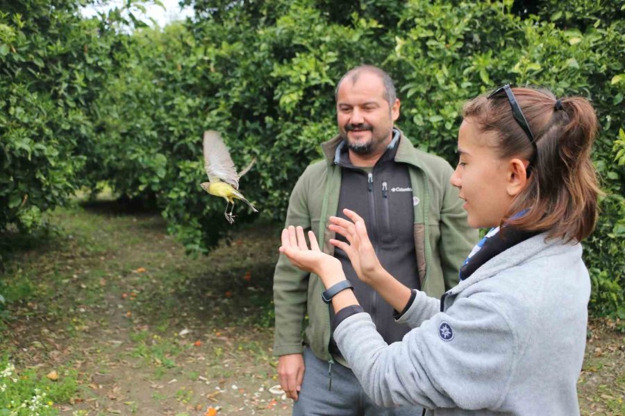 İzciler Kuş Halkalama Kampına Katıldı